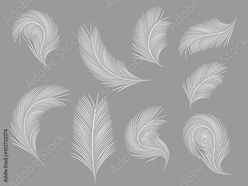 Set of simple flying bird feathers. Vector stock illustration for poster and card. Flat icon. Easy concept