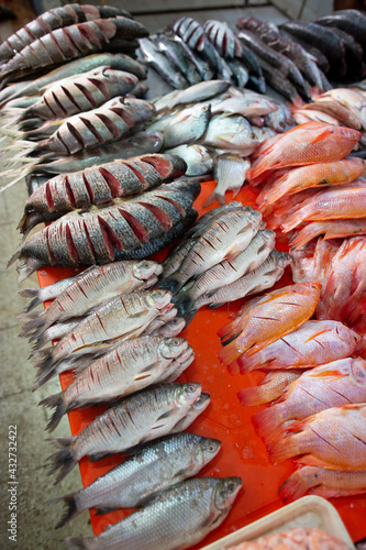 view of fresh catch in the market