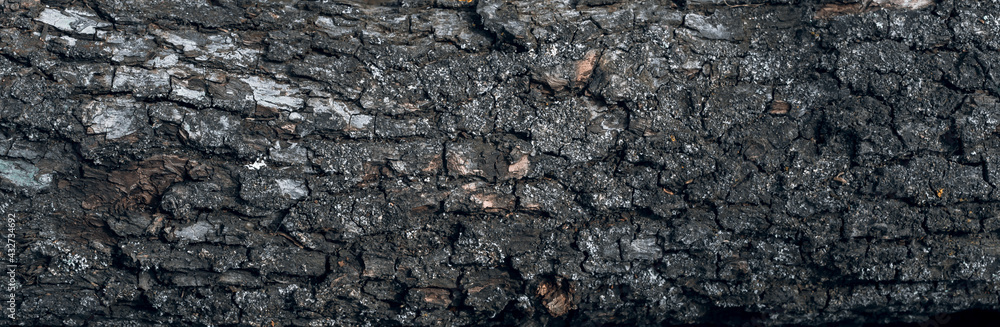 Naklejka premium Dry old wood texture