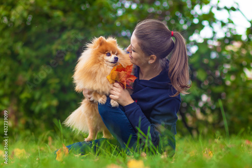 girl or young woman holding Pomeranian spitz and bouquet of fallen leaves in the park in autumn. dog loyally and with love looking into the eyes of the female owner. pet adoption