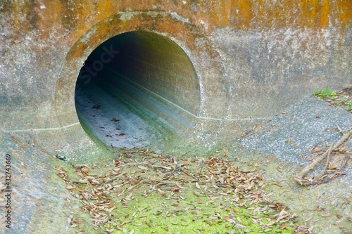 Colorful, concrete water drain pipe, dry with leaves