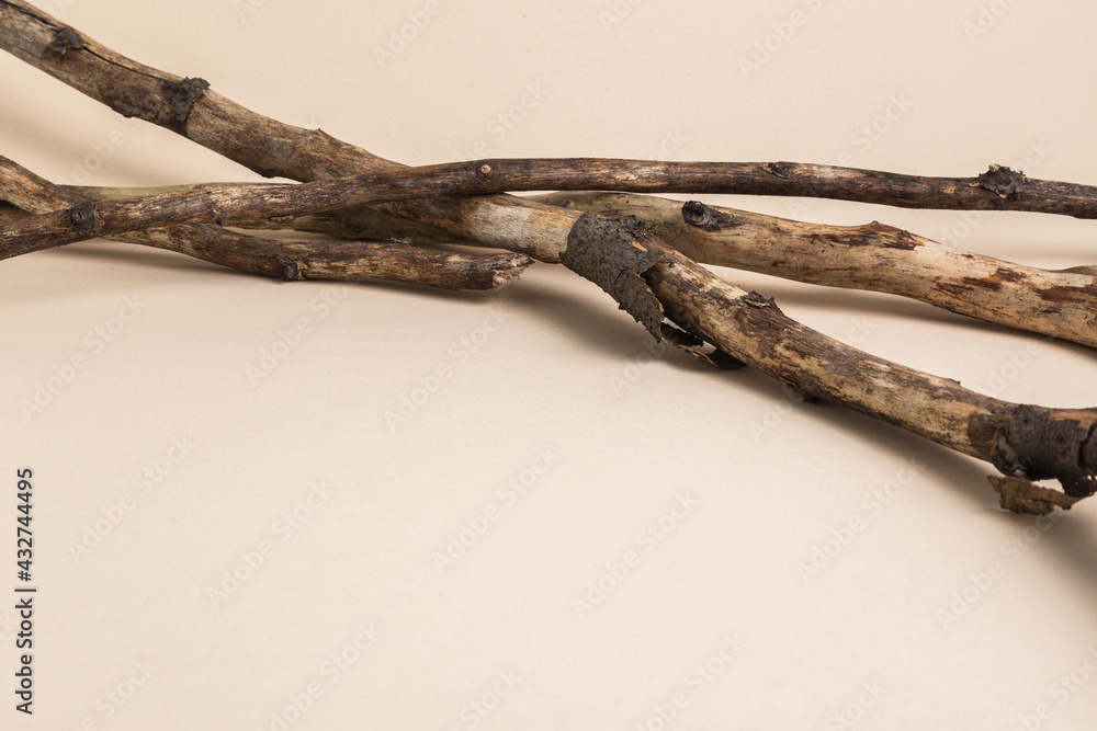 Background with dried rustic branches. Product mock up. Background with dried rustic branches. Product mock up.