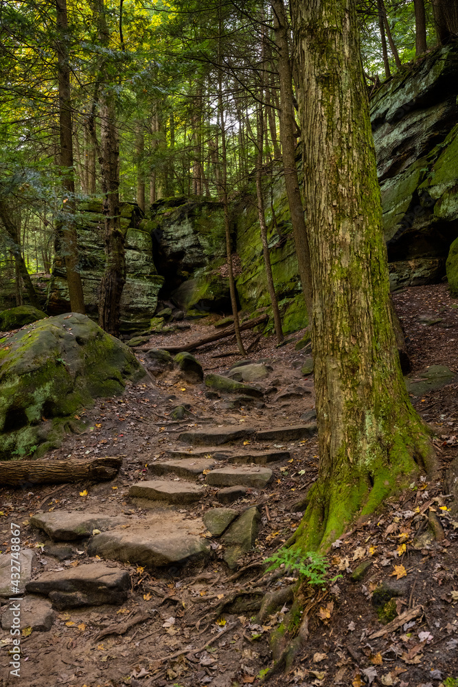 Stone Steps and Mossy Tree Trunk At The Ledges
