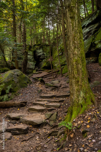 Stone Steps and Mossy Tree Trunk At The Ledges