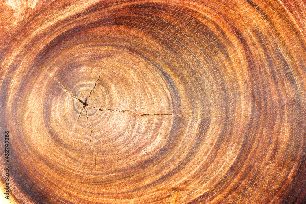 Naklejka premium Vintage dark wood textured