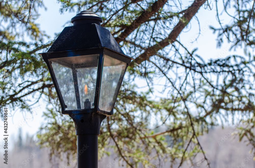 One of the many gas lamps along an alley in the city park