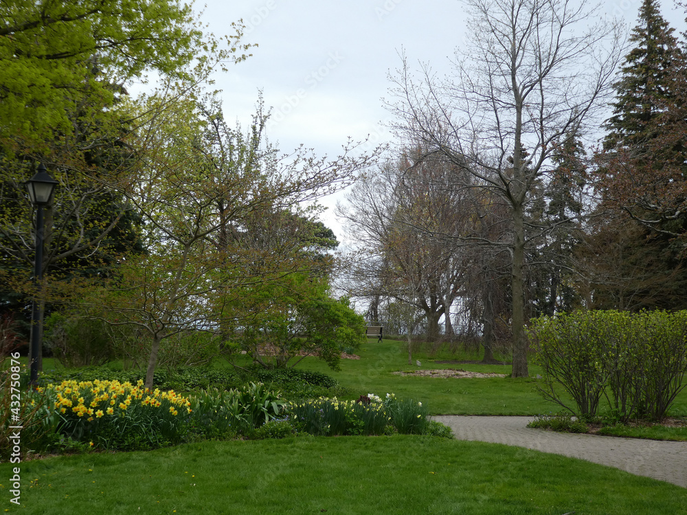 Park landscape with trees and flower beds