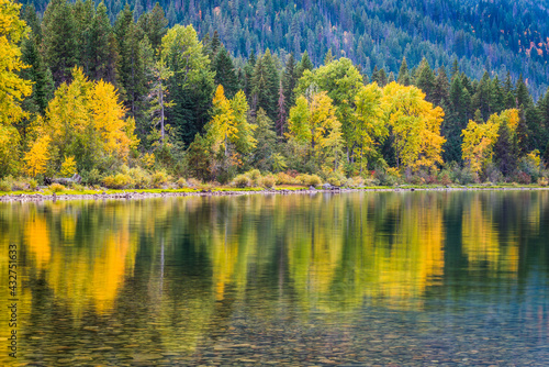Fall colors in the forest along the shoreline reflecting in Lake Wenatchee in the Cascade Mountains of Washington State