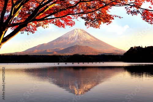 Fuji Mountain Reflection at Lake Shojiko in Autumn with Red Maple Leaves, Japan
