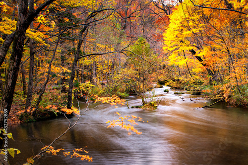 фотографія Oirase Stream in Autumn, Aomori, Japan
