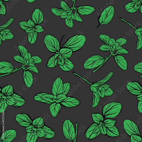  Basil Seamless Pattern. Italian herbs. Marjoram pattern. Hand-drawn illustration