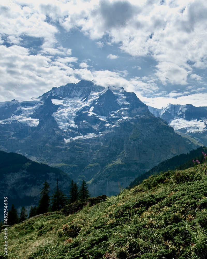 Fototapeta premium Swiss Alps landscape with Jungfrau summit ahead2229x2785