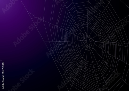ダークなイメージの蜘蛛の巣