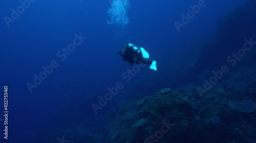 小笠原　ボニンブルーの海を潜るダイバー