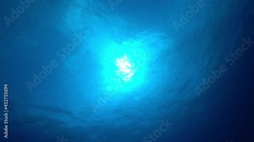 海底から見上げる太陽とエアー　小笠原