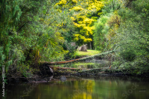 Western Springs Park - Auckland - New Zealand in Autumn