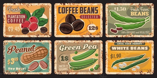 Bean, peanut, coffee and green pea tin signs of vector farm food and legume. Fresh coffee beans and berries, green pods, leaves and groundnut shells, vintage banners of farm market or grocery design