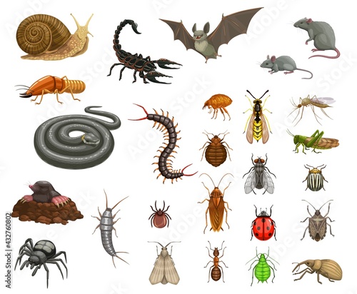 Leinwand Poster Pests insects disinfection, animals deratization