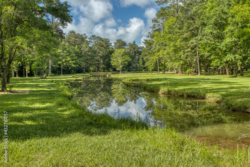 Landscape from the Deep South of Louisiana