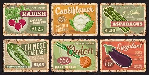 Vegetables rusty metal plates, vector price tags. Farm veggies organic radish, cauliflower, asparagus and chinese cabbage with onion and eggplant retail cards for eco market, vintage rust tin signs
