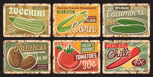 Farm vegetables harvest rusty metal plate. Zucchini, corn and cucumbers, potatoes, tomatoes and chili pepper tin signs. Local organic farm healthy, fresh and natural vegetables vector grungy plates