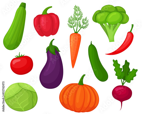 Set of vegetables in cartoon style. Healthy food vector. The illustration is isolated on a white background. 