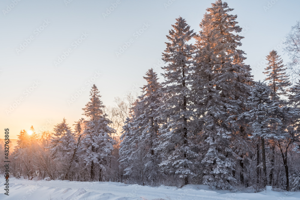 Fototapeta premium Snow and rime in winter in Changbai Mountain, Jilin Province, China