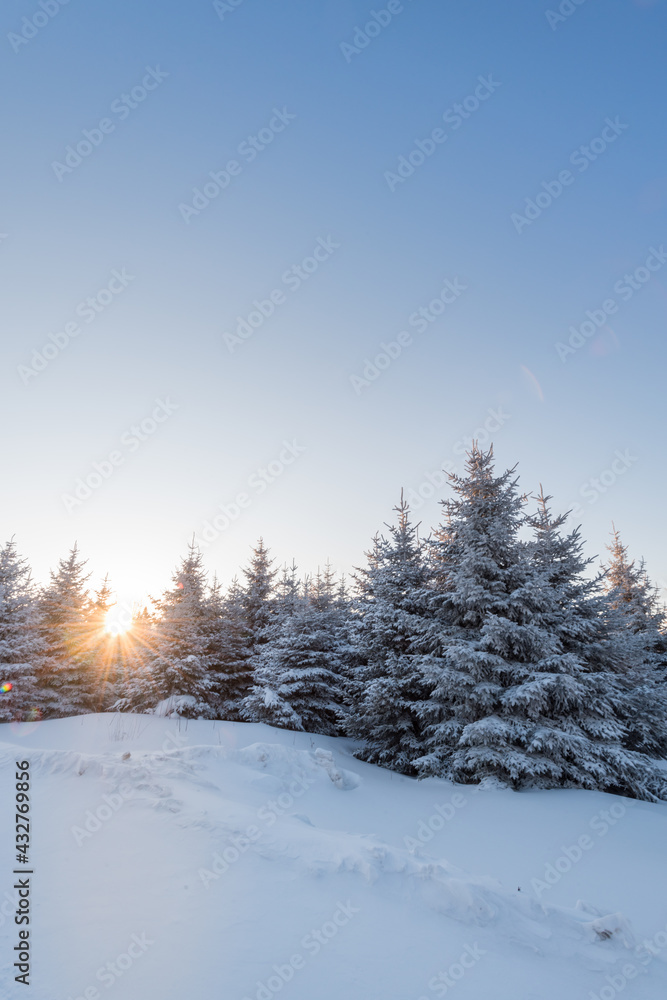 Fototapeta premium Snow and rime in winter in Changbai Mountain, Jilin Province, China