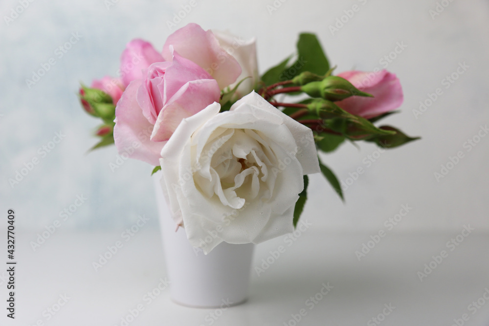 Romantiche rose bianche e rosa in vaso, isolato su fondo chiaro Romantiche rose bianche e rosa in vaso, isolato su fondo chiaro