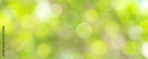 nature of green leaf bokeh in garden at summer under sunlight. natural bokeh of green leaves plants using as spring background and environment ecology or greenery wallpaper