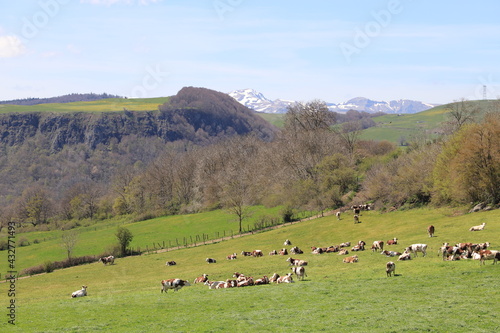paysage d'Auvergne © Jacky Jeannet