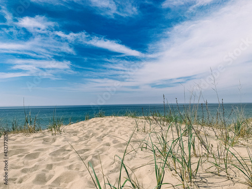 sand dunes on the beach