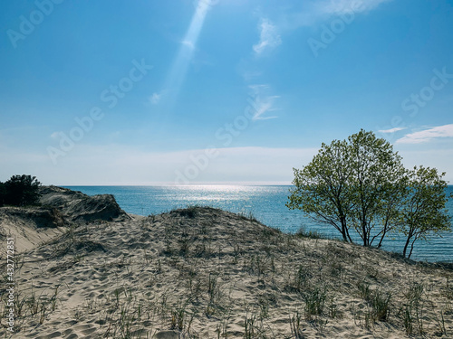 Nordhouse Dunes 