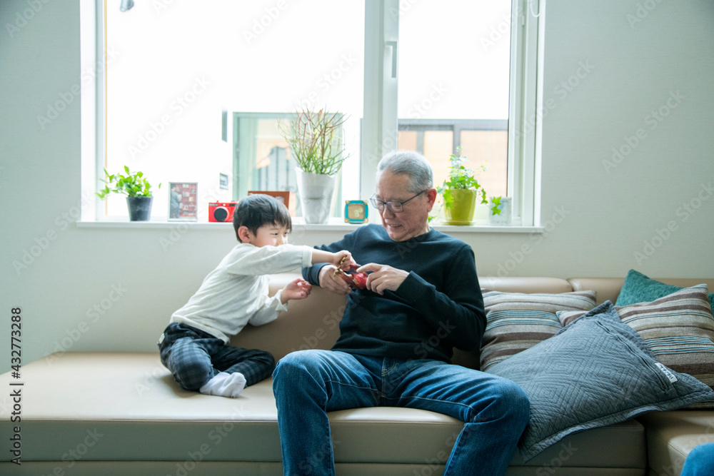 Life of Elderly Person Life of Elderly Person