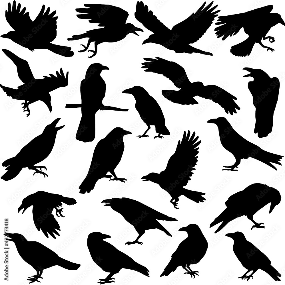 Obraz premium Happy Halloween Elements and Signs