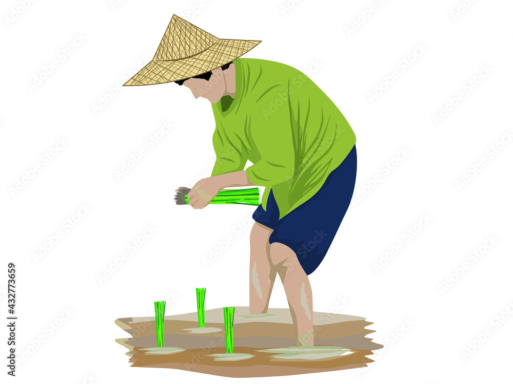 Assamese Farmer in japi Hat Harvesting Rice in Paddy Field, Indian Rice  Fields With  Plowing Field With Pair Of Oxen, Carrying Rice  Plants For Planting. Stock Vector | Adobe Stock