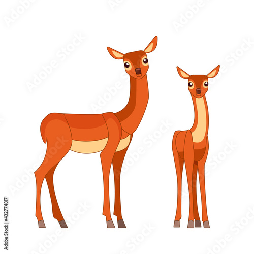 Beautiful deer family. Wildlife of forest mammals. Cartoon flat style drawing vector illustration isolated on white background