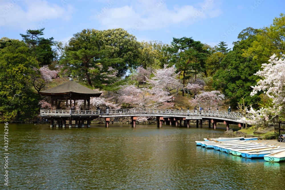 Ukimido Pavilion on Sagi-ike pond with Sakura, Cherry Blossoms, in Nara park, Japan, isolated - 日本 奈良 奈良公園 春の桜 浮見堂 Ukimido Pavilion on Sagi-ike pond with Sakura, Cherry Blossoms, in Nara park, Japan, isolated - 日本 奈良 奈良公園 春の桜 浮見堂