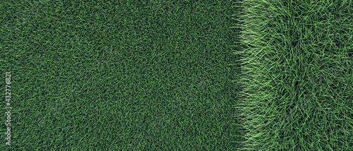 Photos Lawn grass with uncut part.