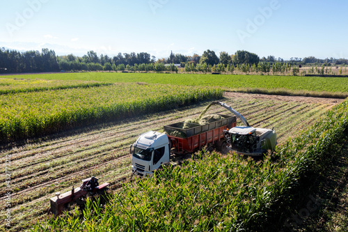 harvester machine and truck working in corn fields