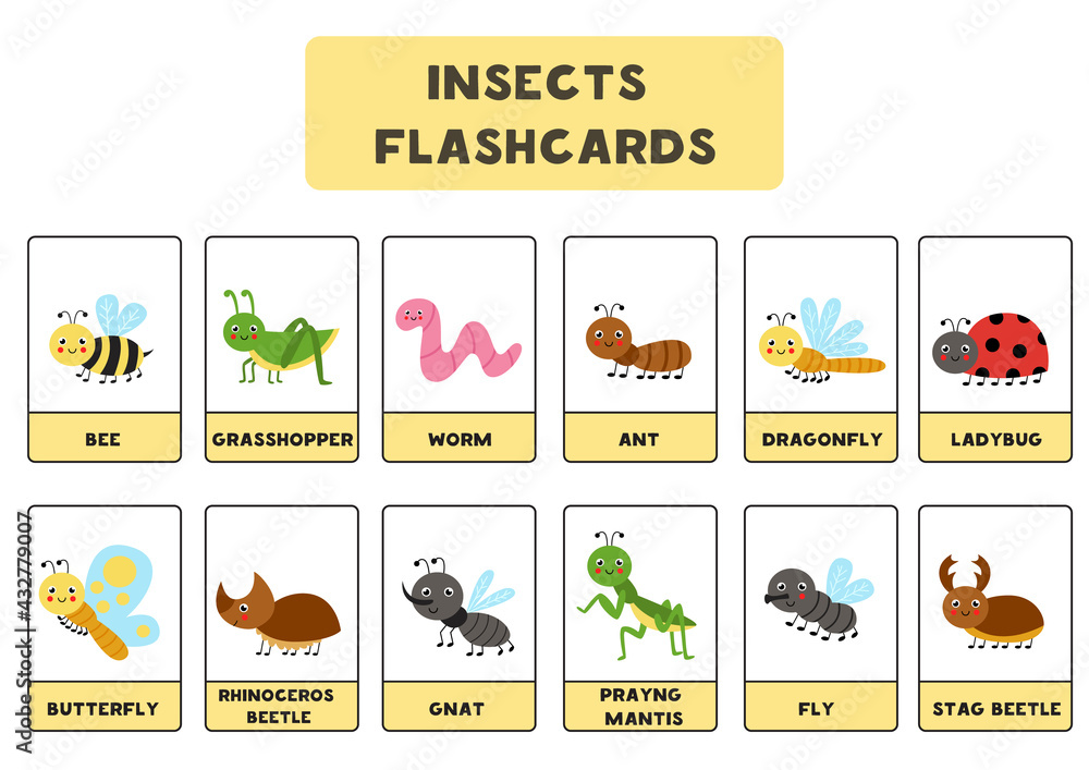 Cute insects with names. Flash cards for children.