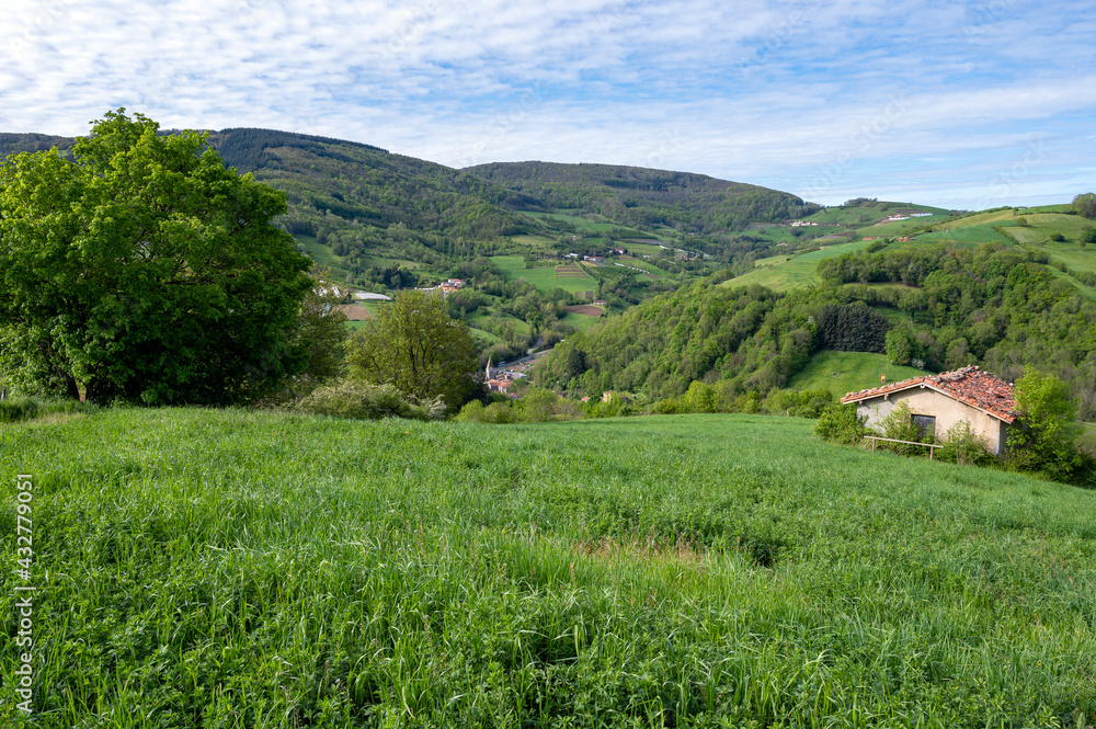 Paysage des Monts du Lyonnais dans le département du Rhône en France au printemps
