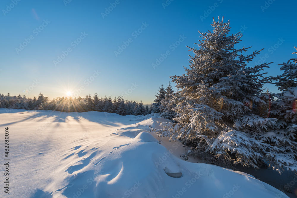 Snow and rime in winter in Changbai Mountain, Jilin Province, China Snow and rime in winter in Changbai Mountain, Jilin Province, China
