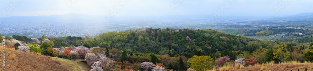 Aerial view of Nara city from Mount Wakakusa (Wakakusa-yama) during spring, Panoramic view - 若草山 山頂展望台からの眺望 桜の花 パノラマ