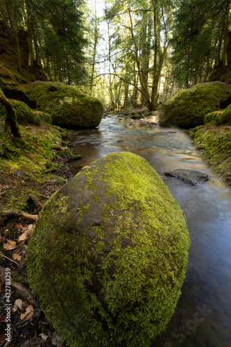 Wunderschöner Fluss im Wald mit große Steine