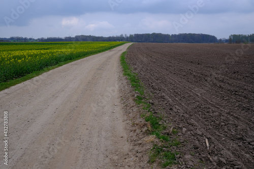 Ein Wirtschaftsweg f  hrt durch landwirtschaftliche Felder