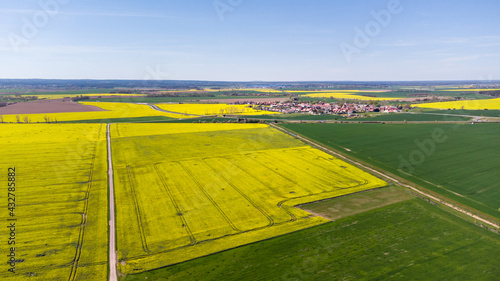 Aerial view of a canola field next to a rural village in Germany