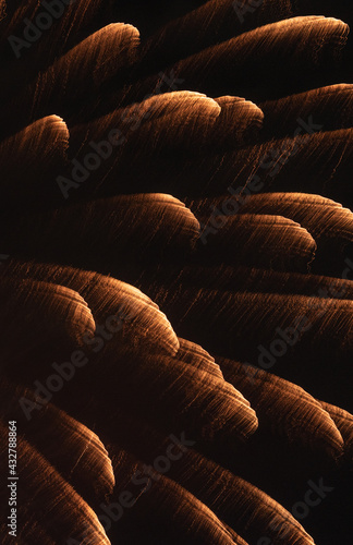 abstract texture on black background gold fireworks