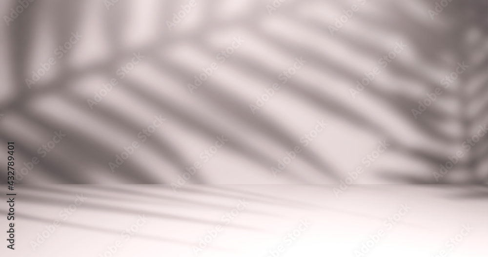 Light studio background for presentation with natural shadows. 3d rendering Light studio background for presentation with natural shadows. 3d rendering