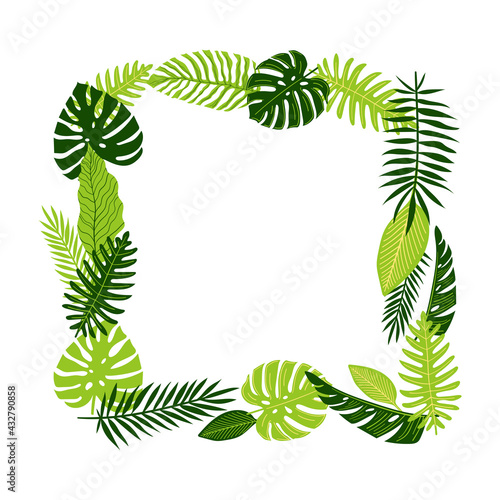 Vector tropical jungle palm  fern and monstera leaves. Square exotic frame with place for text. Green summer illustration